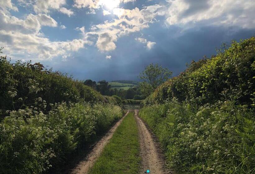 ベッドアンドブレックファースト The Old Vicarage