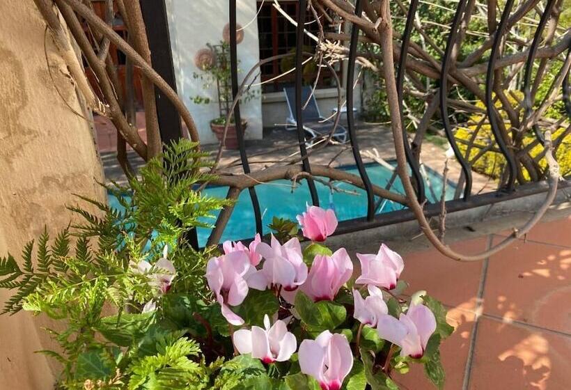 住宿加早餐  Tuscan Rose