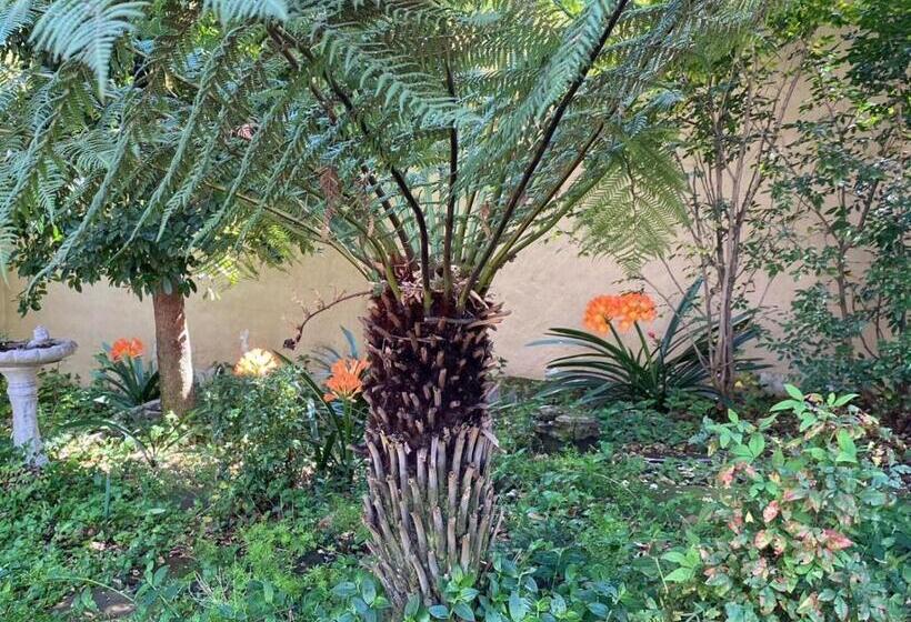 住宿加早餐  Tuscan Rose