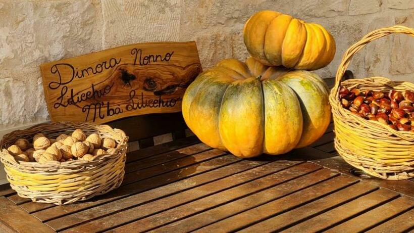 Dimora Nonno Lilicchio