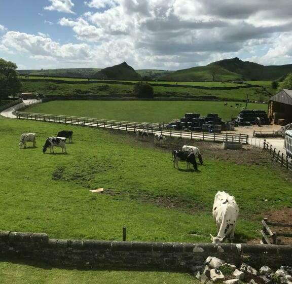 Fernydale Farm Bed & Breakfast