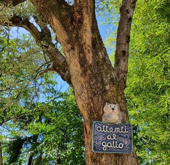 酒店 Albergo Campagnola