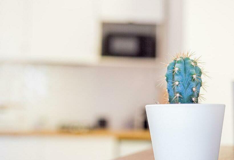 Le Terracotta Appartement Centre Ville Avec Balcon