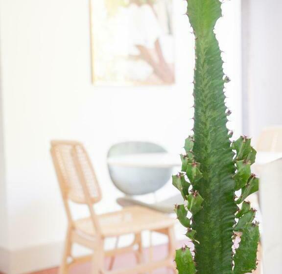 Le Terracotta Appartement Centre Ville Avec Balcon