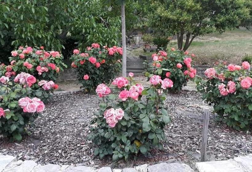 پانسیون Agriturismo Camera Rosa