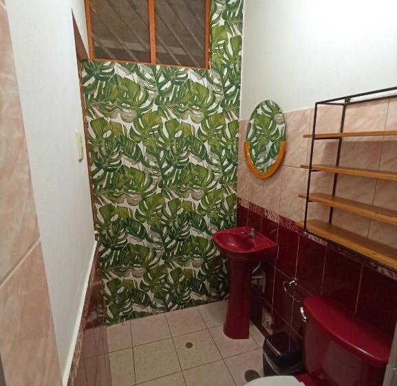 פנסיון Bijao Hostel