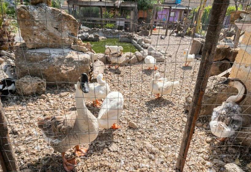 Pensió Danisinni Rooms By Wonderful Italy