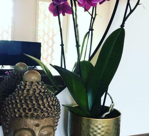 Sotto La Vigna Charm Stay Adults Only Vacation Appartement Hayloft