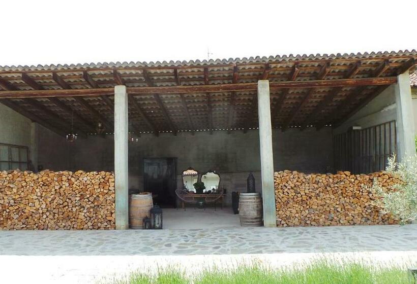 Sotto La Vigna Charm Stay Adults Only Vacation Appartement Hayloft