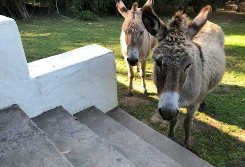 The Little Farmhouse