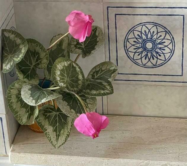 مبيت وإفطار La Camera Dell’aviatore