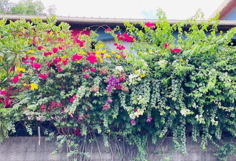 צימר Moya Résidence By Md