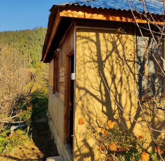 ホテル Basic Hut In An Orchard Rehn Village