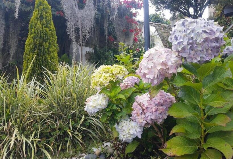 هتل Home Mark Casa Boutique