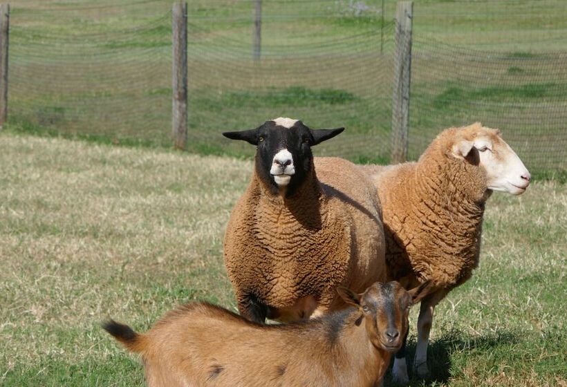 فندق Seven Peaks Farm Stay