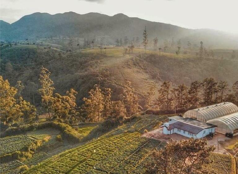 ホテル The Farmhouse Ambewela By Celeste