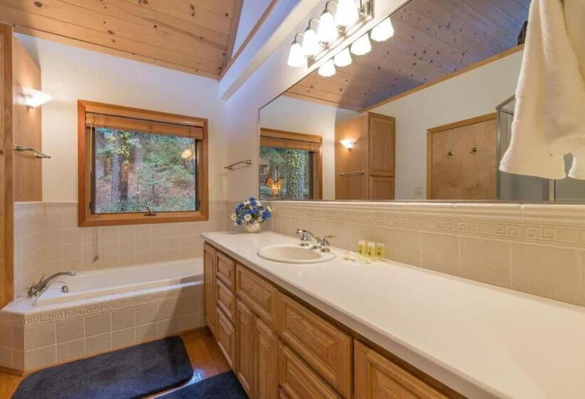 Musketeer By Avantstay Family Friendly Home In Tahoe Swiss Village