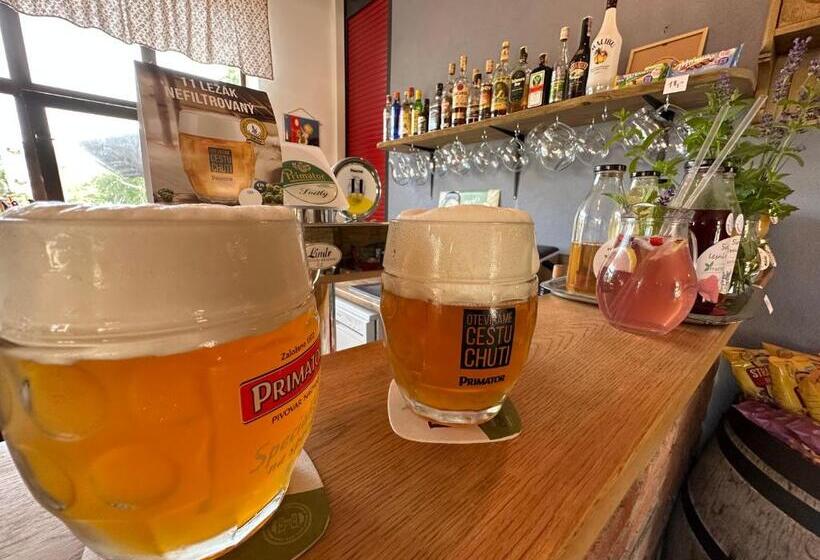 Na Statku Babiččino údolí