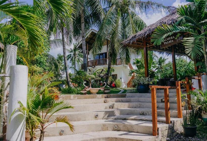 پانسیون Palmera Palma Top Floor