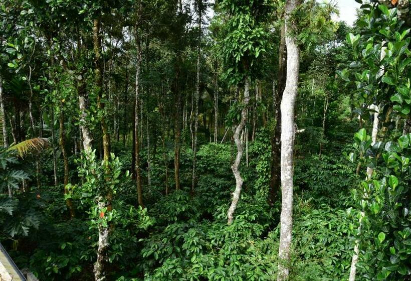 膳宿费 Pauls Retreat Wayanad