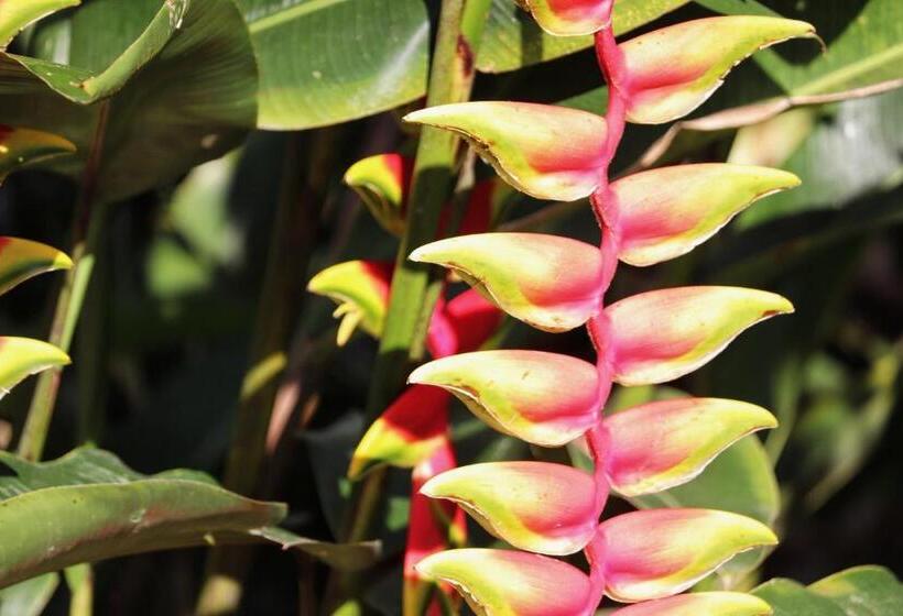 بنسيون Solarte Hostel