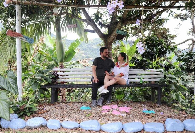 بنسيون Solarte Hostel