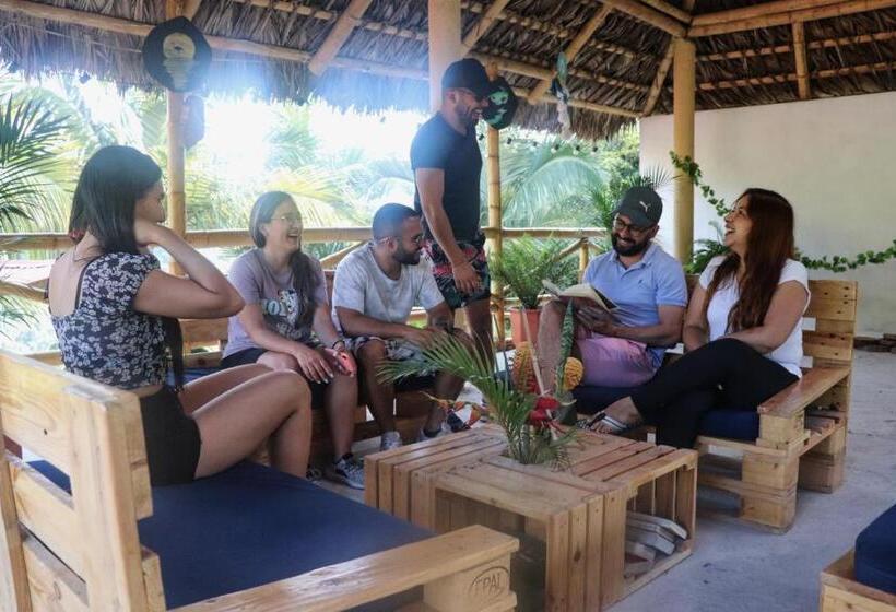 بنسيون Solarte Hostel