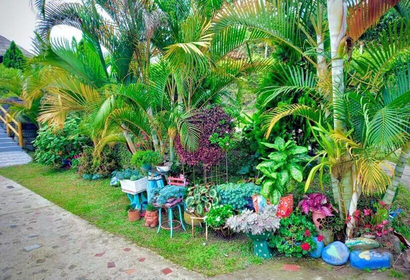 بنسيون Solarte Hostel