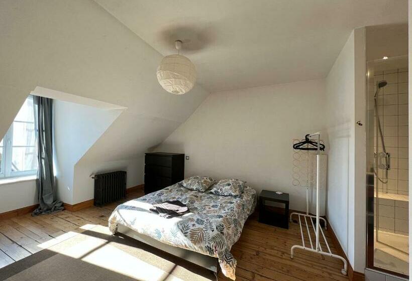 Pépite Au Plein Centre Historique