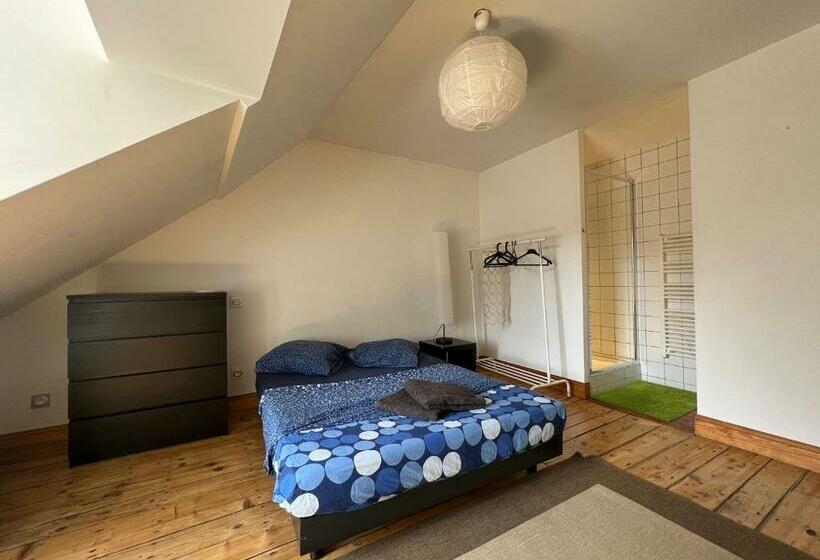 Pépite Au Plein Centre Historique