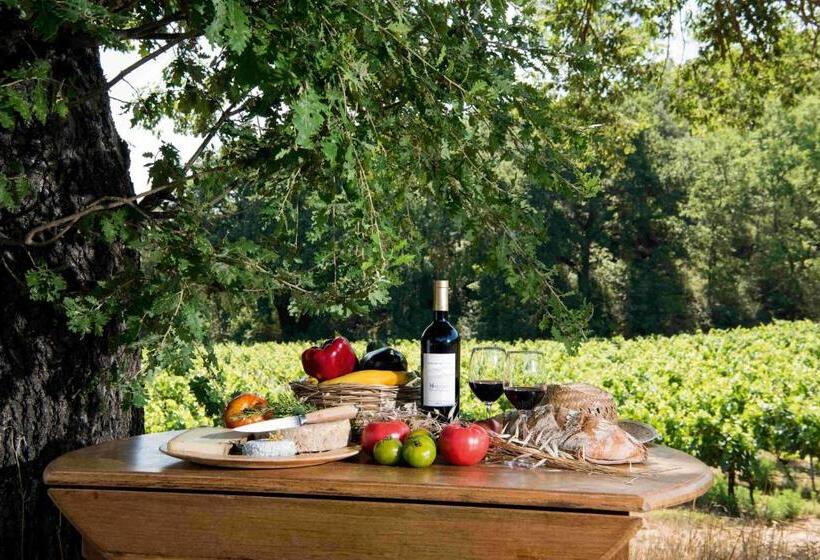 Bed and Breakfast Bastide De Fave