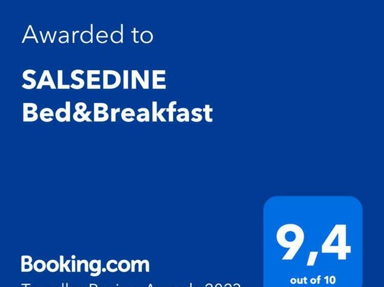 住宿加早餐  Salsedine Bed&breakfast