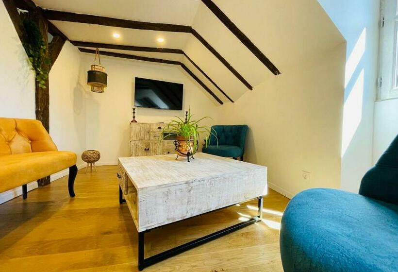 민박 The Cartesian Suite In A Charming Mansion At The Gates Of Tours