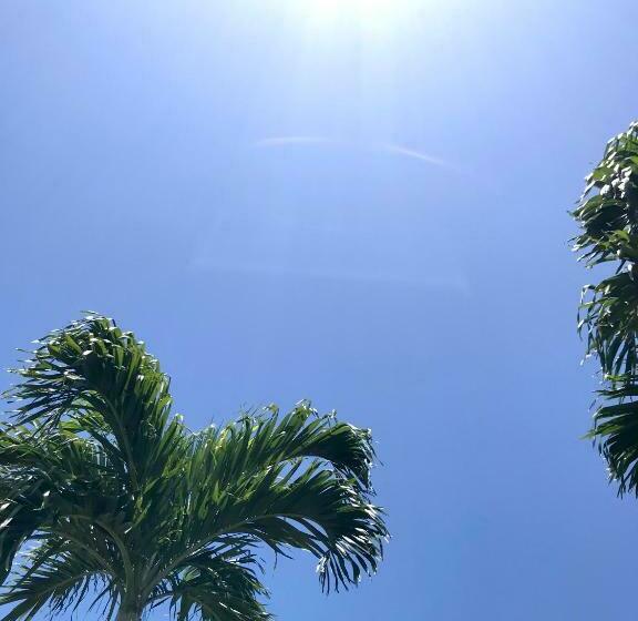 בית מלון כפרי Cottage Soul Mate