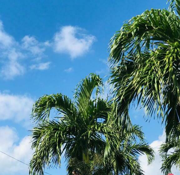 בית מלון כפרי Cottage Soul Mate