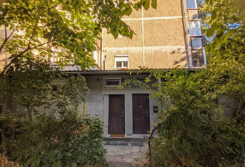 Moss S Economy Condo