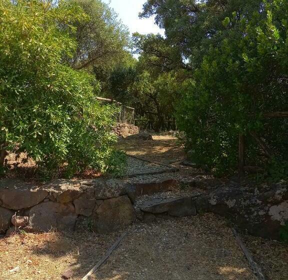 פנסיון Casa Golloi