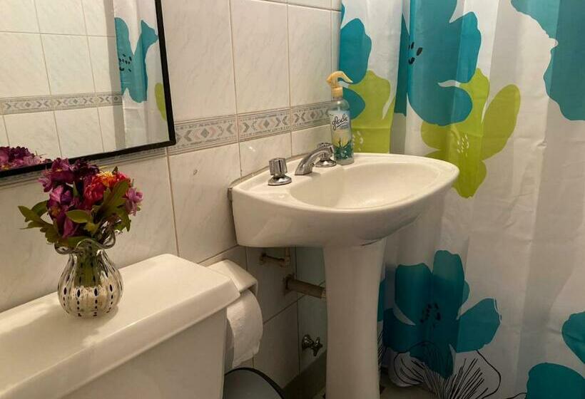 פנסיון Hostal Cordillera Alta