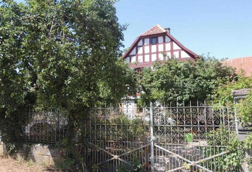 ペンション Pilger Und Radlerherberge Herberge Im Hofhaus