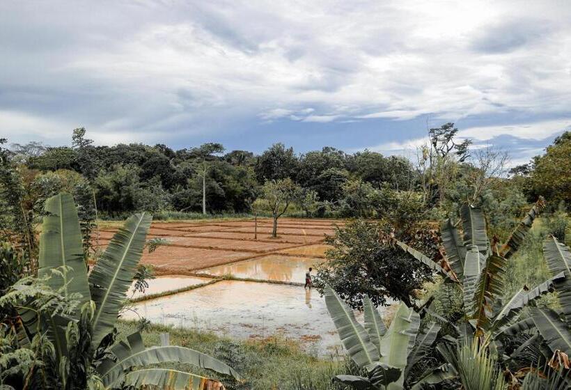 Пансион Sigiri Gayani Home Stay