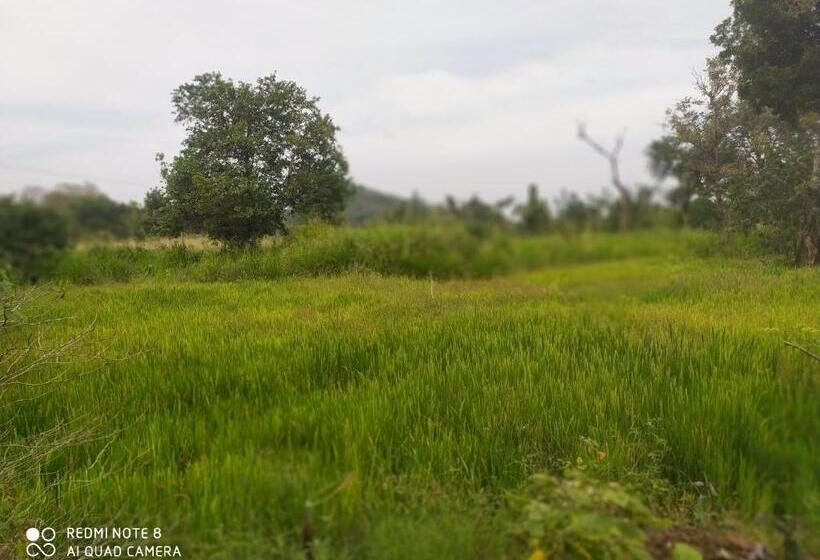 Пансион Sigiri Gayani Home Stay