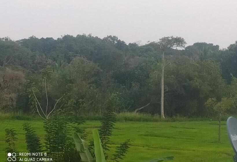 膳宿费 Sigiri Gayani Home Stay