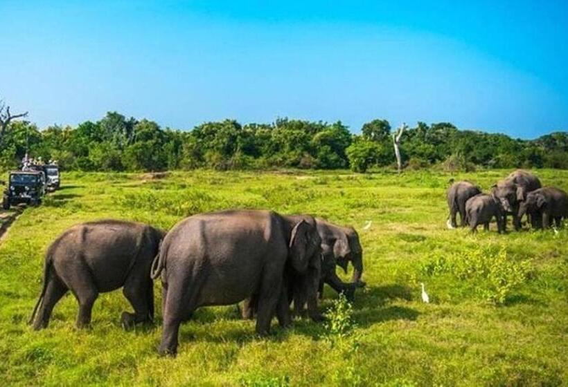 Пансион Sigiri Gayani Home Stay