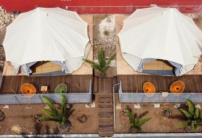 旅馆 Porto Santo Destination