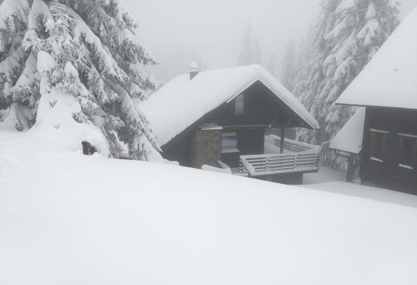 Apartment Bajta Rogla