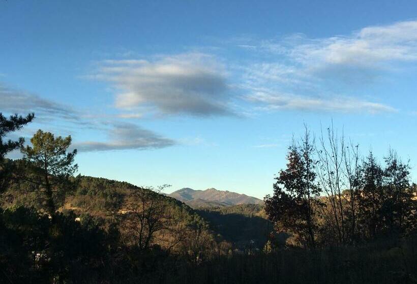 住宿加早餐 De Vliegher