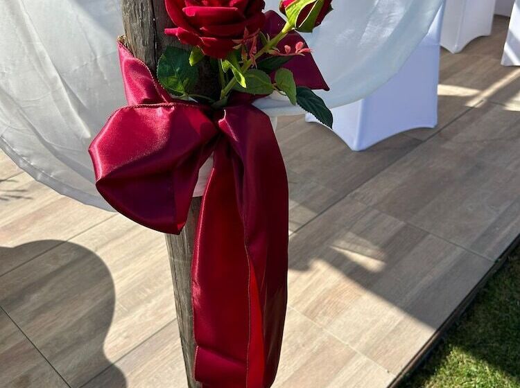 住宿加早餐  Essenziale