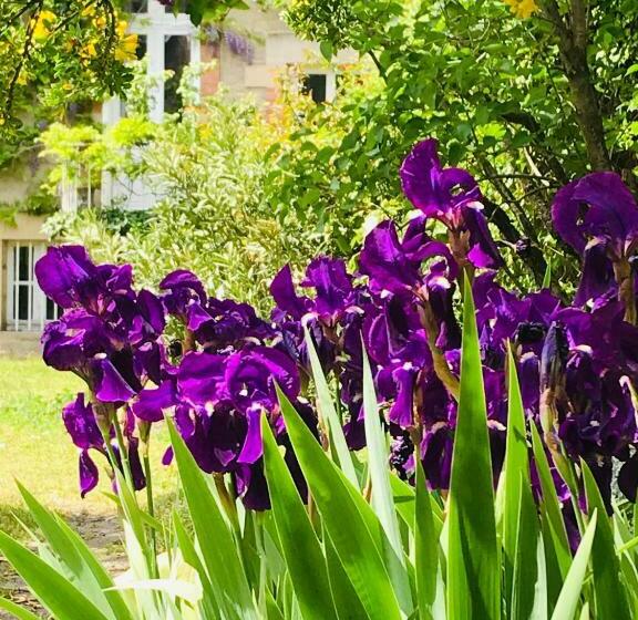 צימר La Maison Des Roses