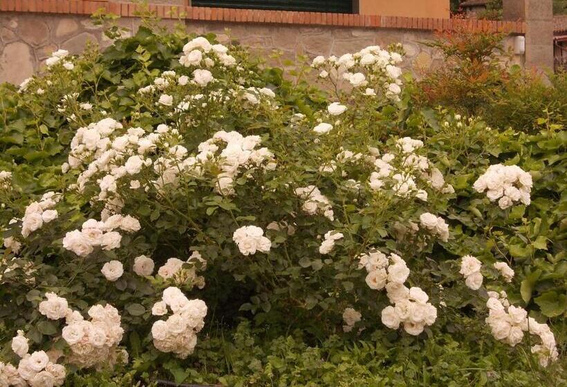 住宿加早餐  Villa Costanza