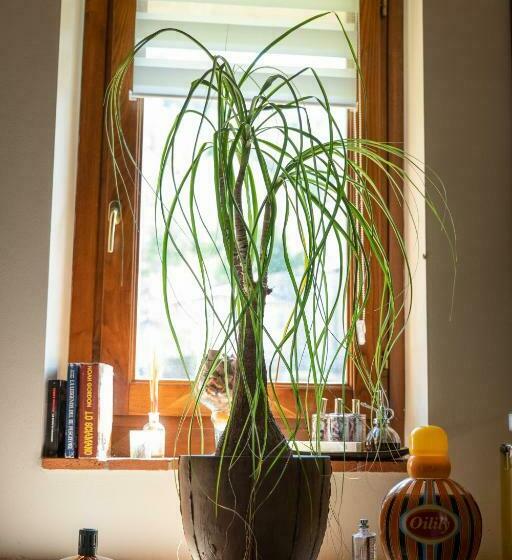 Cathedral Wellness Stay Sauna & Massage